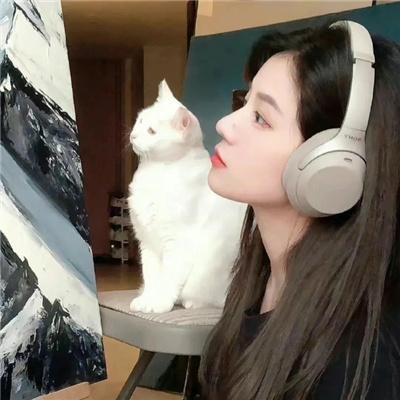 模特儿凶杀案